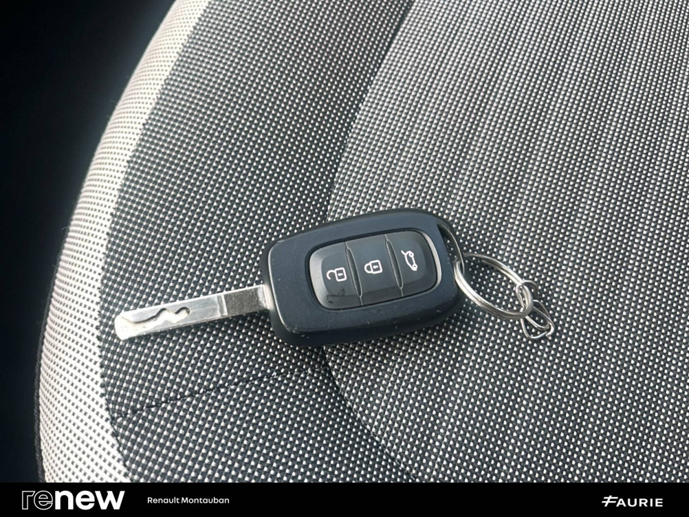 Acheter Renault Twingo Electrique Twingo III Achat Intégral - 21 Zen 5p occasion dans les concessions du Groupe Faurie