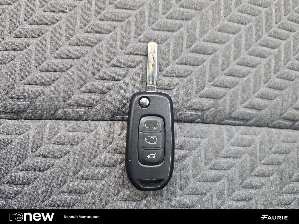 Acheter Renault Clio 5 Clio TCe 100 GPL - 21 Limited 5p occasion dans les concessions du Groupe Faurie