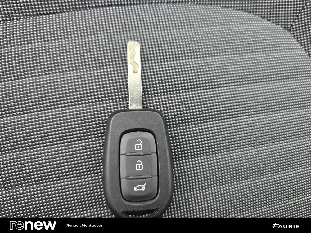 Acheter Renault Twingo Electrique Twingo III Achat Intégral - 21 Zen 5p occasion dans les concessions du Groupe Faurie