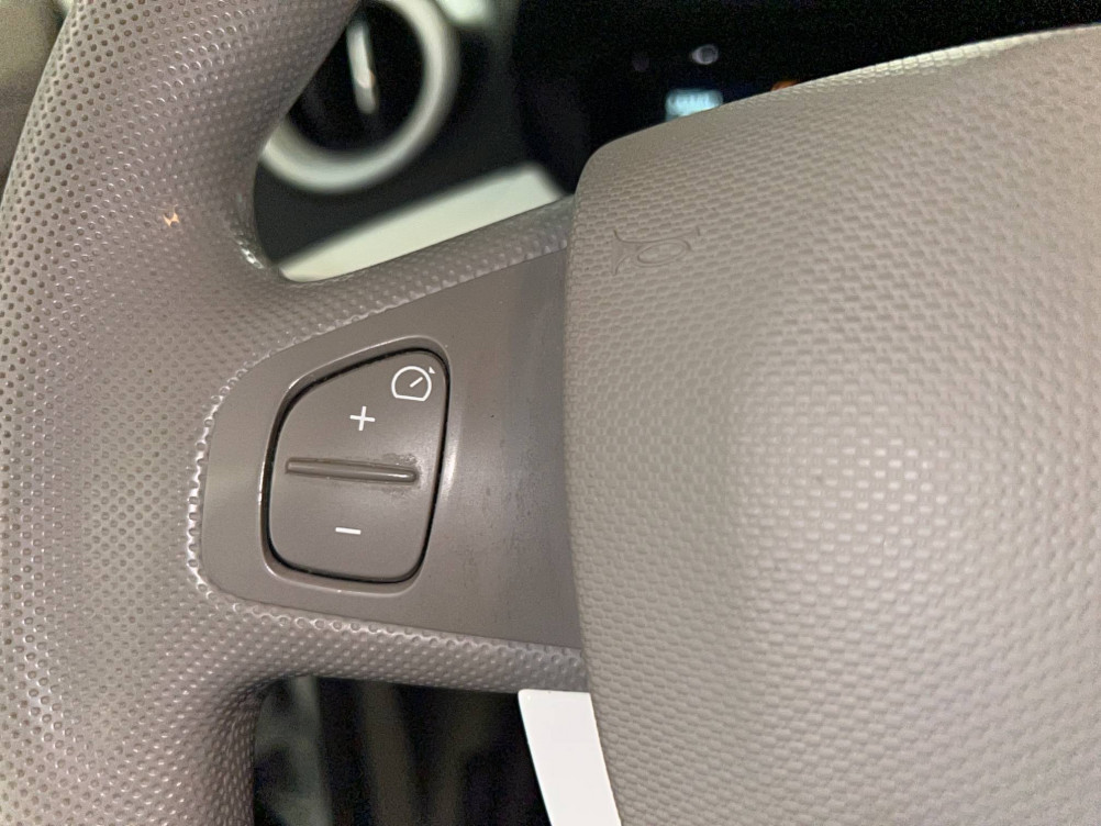 Acheter Renault Zoe Zoe Life Gamme 2017 5p occasion dans les concessions du Groupe Faurie