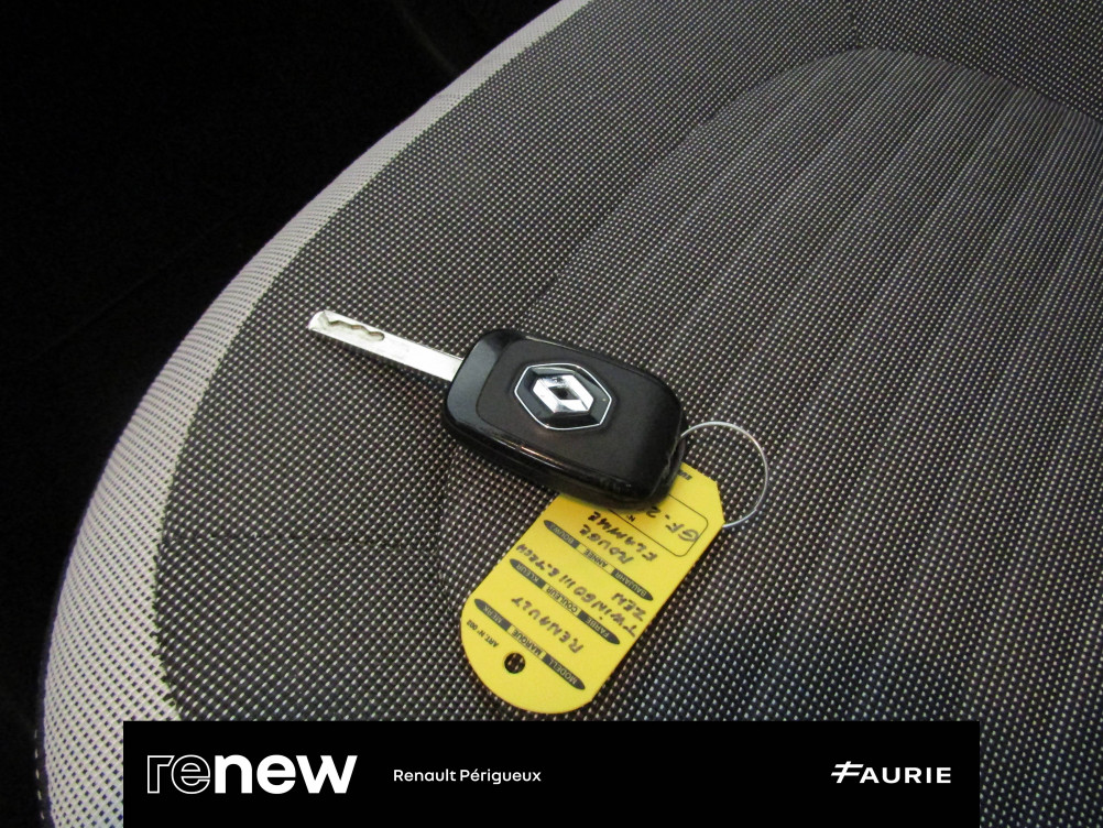 Acheter Renault Twingo Electrique Twingo III Achat Intégral - 21 Zen 5p occasion dans les concessions du Groupe Faurie