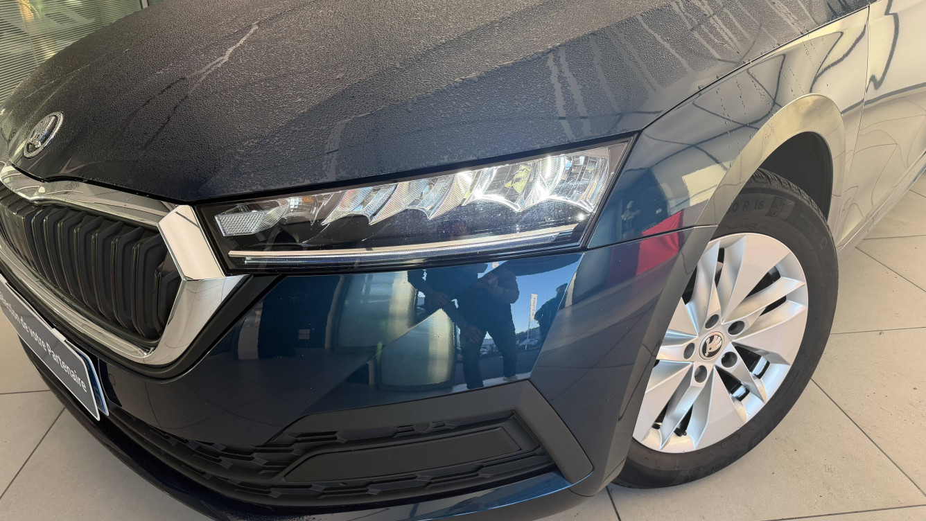 Acheter Skoda Octavia Octavia 2.0 TDI 150 ch Business 5p occasion dans les concessions du Groupe Faurie
