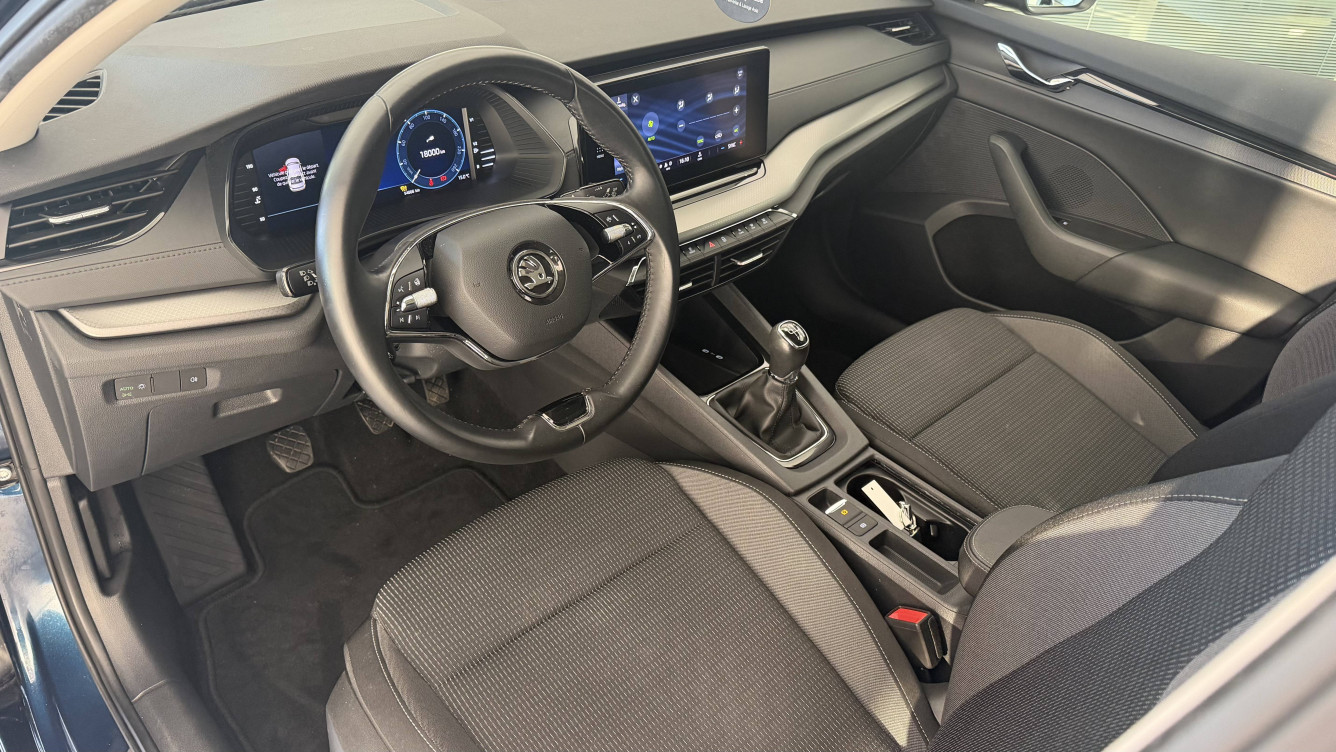 Acheter Skoda Octavia Octavia 2.0 TDI 150 ch Business 5p occasion dans les concessions du Groupe Faurie