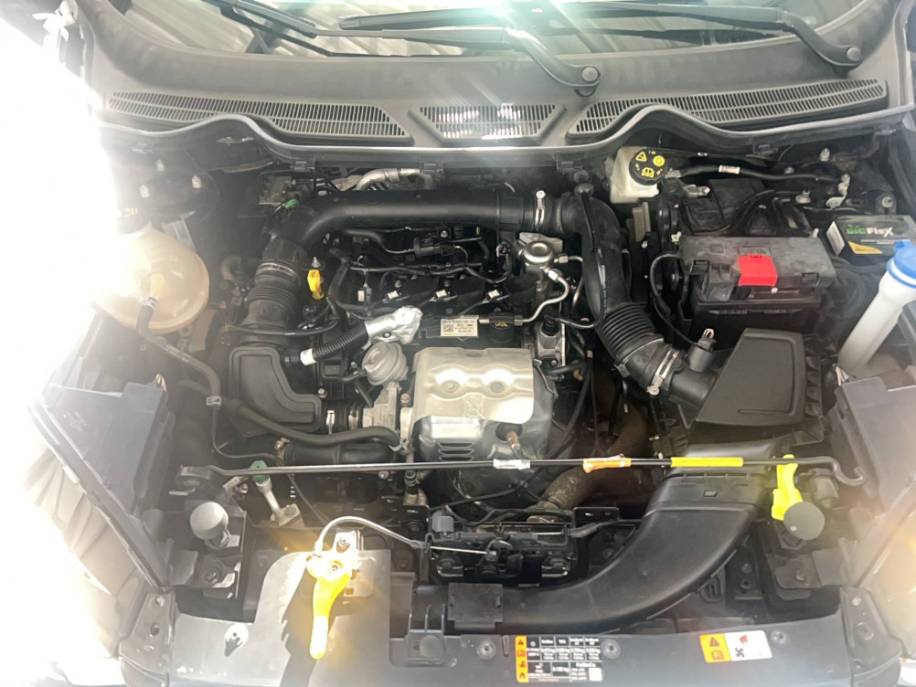 Acheter Ford Ecosport EcoSport 1.0 EcoBoost 125ch S&S BVA6 Titanium Business 5p occasion dans les concessions du Groupe Faurie