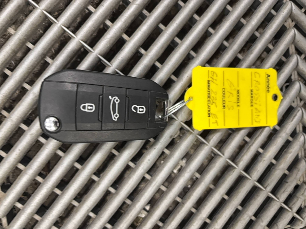 Acheter Opel Crossland Crossland 1.2 Turbo 130 ch BVA6 Elegance 5p occasion dans les concessions du Groupe Faurie