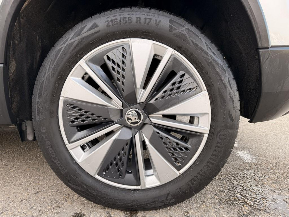 Acheter Skoda Karoq Karoq 2.0 TDI 116 ch SCR DSG7 Business 5p occasion dans les concessions du Groupe Faurie