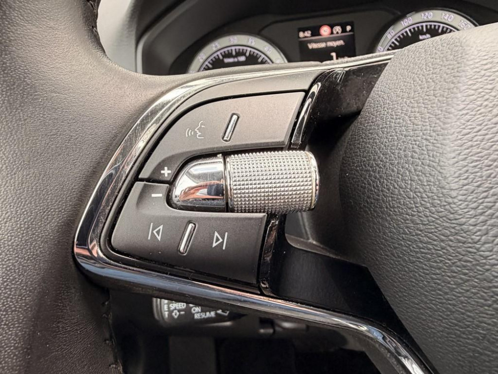Acheter Skoda Karoq Karoq 2.0 TDI 116 ch SCR DSG7 Business 5p occasion dans les concessions du Groupe Faurie