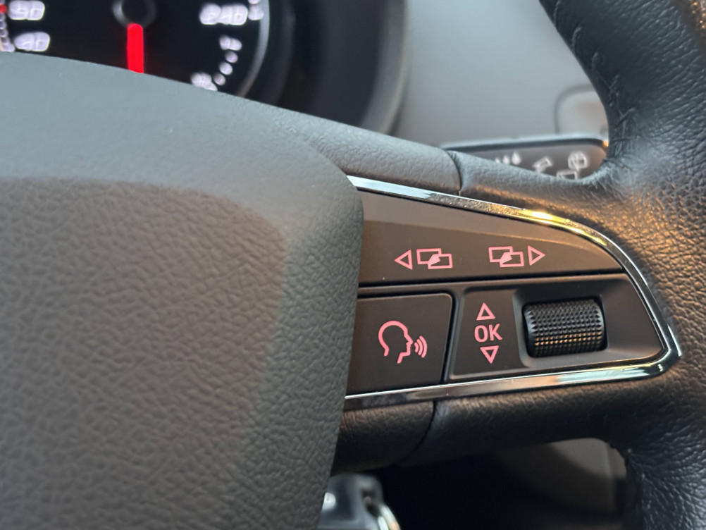 Acheter Seat Ibiza Ibiza 1.2 TSI 90 ch My Canal 5p occasion dans les concessions du Groupe Faurie