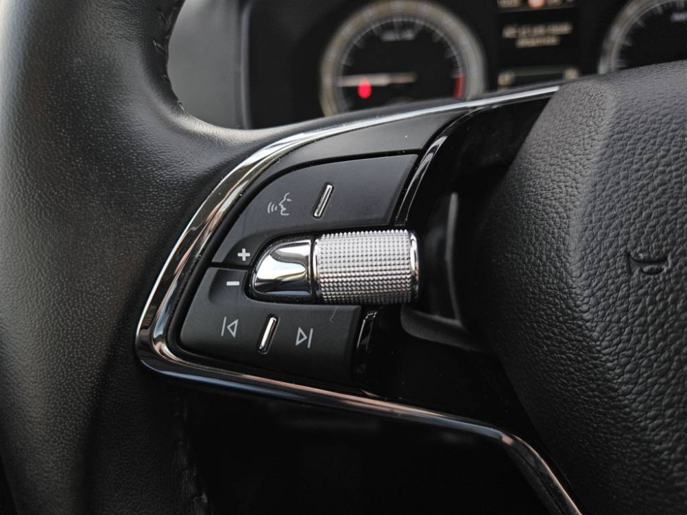 Acheter Skoda Karoq Karoq 2.0 TDI 116 ch SCR DSG7 Business 5p occasion dans les concessions du Groupe Faurie