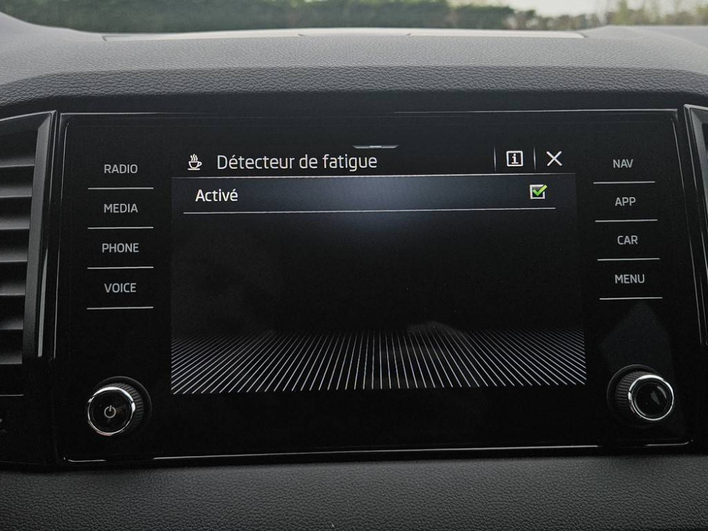 Acheter Skoda Karoq Karoq 2.0 TDI 116 ch SCR DSG7 Sportline 5p occasion dans les concessions du Groupe Faurie