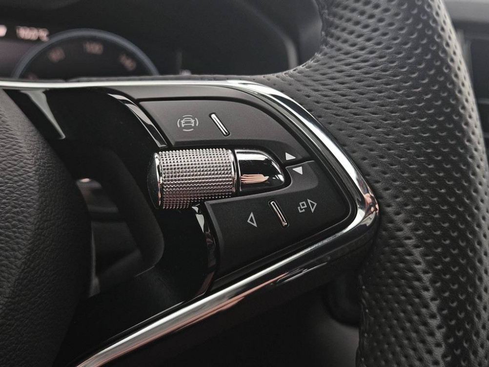 Acheter Skoda Karoq Karoq 2.0 TDI 116 ch SCR DSG7 Sportline 5p occasion dans les concessions du Groupe Faurie