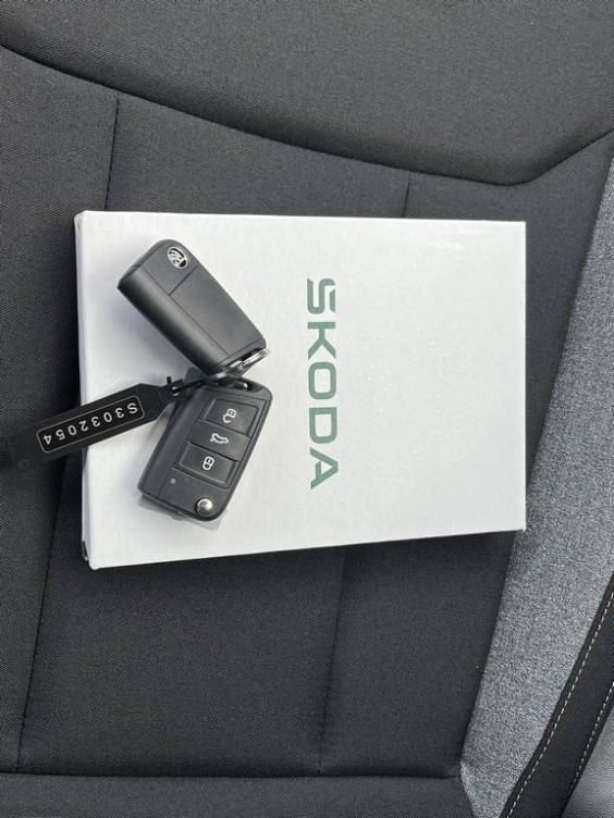 Acheter Skoda Scala Scala 1.5 TSI 150 ch DSG7 ACT Selection 5p occasion dans les concessions du Groupe Faurie