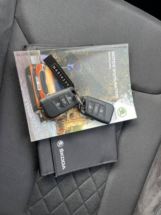 Acheter Skoda Fabia Fabia 1.0 TSI 110 ch BVM6 Style 5p occasion dans les concessions du Groupe Faurie
