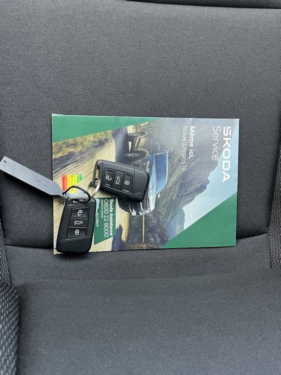 Acheter Skoda Karoq Karoq 2.0 TDI 116 ch SCR DSG7 Business 5p occasion dans les concessions du Groupe Faurie