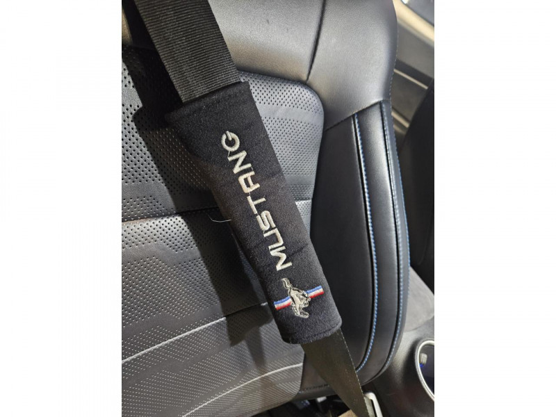 Photo 38 de l'offre de FORD MUSTANG FASTBACK 2.3 EcoBoost 290 BVA10 à 35990€ chez MKP Distribution